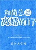 和简总离婚的日子全文阅读