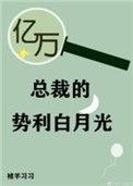 亿万总裁霸宠妻