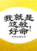 我就是这般好命谢士洲钱玉嫃