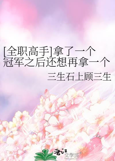 全职高手全赛季冠军