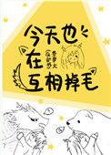 今天也在互相掉毛百度