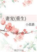 妻宠重生全文阅读