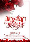 谁说我们要离婚晋江文学城