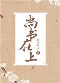 尚书在上未删减版