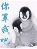 你罩我吧排雷