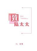 致陆太太17