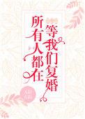 所有人都在等我们复婚在线阅读