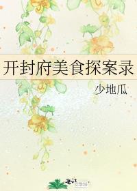 开封府美食探案录讲的什么