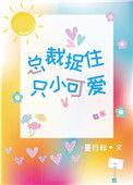 总裁捉只小可爱晋江