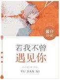 如果我不曾遇见你是什么歌曲
