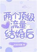 两个顶级流量结婚后txt