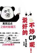 说好的不炒cp呢书包网
