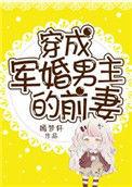穿成军婚男主的前妻嫣梦轩晋江
