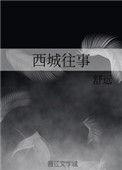 沈适陈迦南西城往事