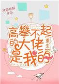 书名高攀不起的大佬是我的