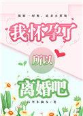 我怀孕了离婚吧
