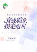 穿成霸总拐走炮灰完整版