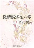 激情燃烧在六零番外