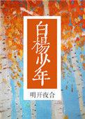 白杨少年by明开夜合免费阅读