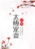 太傅宠妻日常大结局