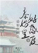 如何刷负秦始皇的好感度讲的什么