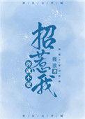 若你不招惹我