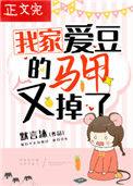 我家爱豆马甲又掉了晋江