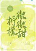 柠檬微微甜 作者艾鱼 完结