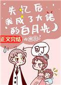 失忆后我成了大佬的白月光短剧免费观看