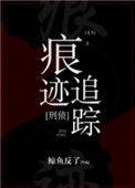 痕迹追踪刑侦TXT