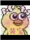 裴宝by池袋讲的什么