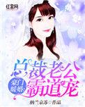 豪门暖婚总裁老公霸道宠妻