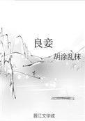良妾覃瞿小蛮免费阅读