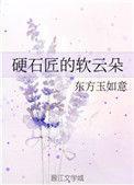 硬石匠的软云朵全文阅读