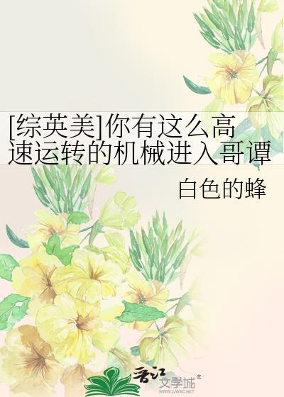 你有这么高速运转的机械进入哥谭txt