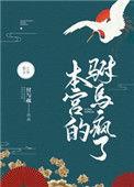 本宫的驸马疯了全文免费阅读