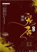 硬核婚宠老婆求别跑免费阅读