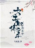 太子妃从佛系出走中