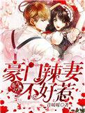 豪门辣妻不好惹简介