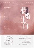 惹婚上门27章