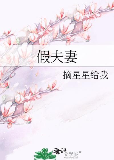 假夫妻by摘星星原文在线阅读