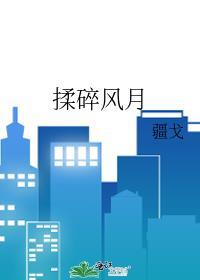 揉碎风月疆戈txt百度资源