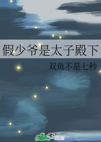 假少爷是太子殿下讲的什么