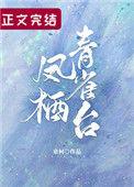 凤栖青雀台宝书网