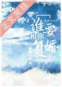 谁要和你复婚 在线阅读