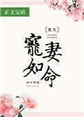 宠妻如命全文