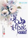愚夫当家免费
