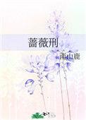 蔷薇刑陈坤