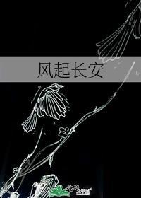 风起长安免费观看