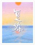 复婚电视剧全集